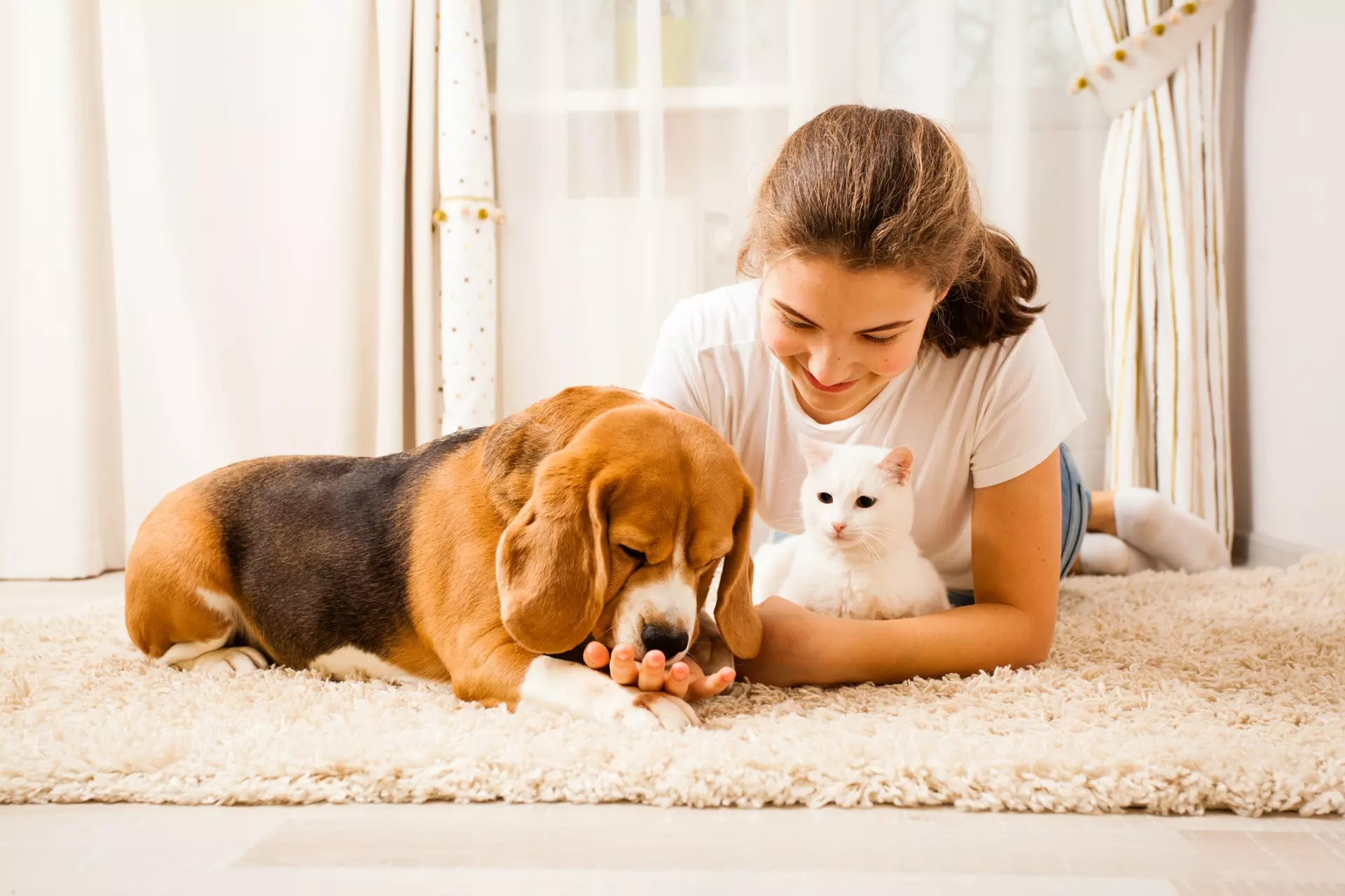 Mobile Veterinarian Serving Ft Lauderdale, South Florida